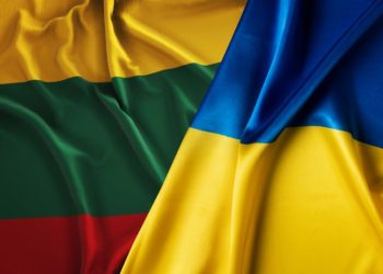 Lithuania stands with Ukraine: assistance, reconstruction, and joint struggle for truth 8 screenshot 4