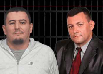 hennadiy osmak vilen temerianov