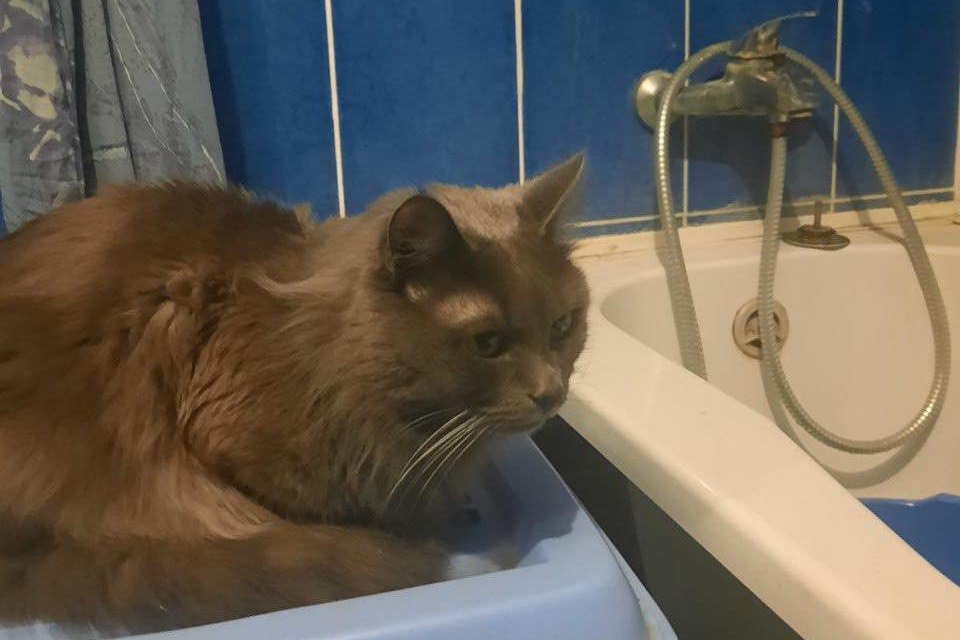 photo 2026 03 11 16 40 22