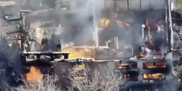 snapedit 1773754819118