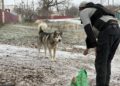 The First to Be Evacuated Were the Cats: A Volunteer Rescues Animals in Ukraine’s Frontline Zone 6 The volunteer always carries pet food with him, photo by the Slobidskyi Krai newspaper