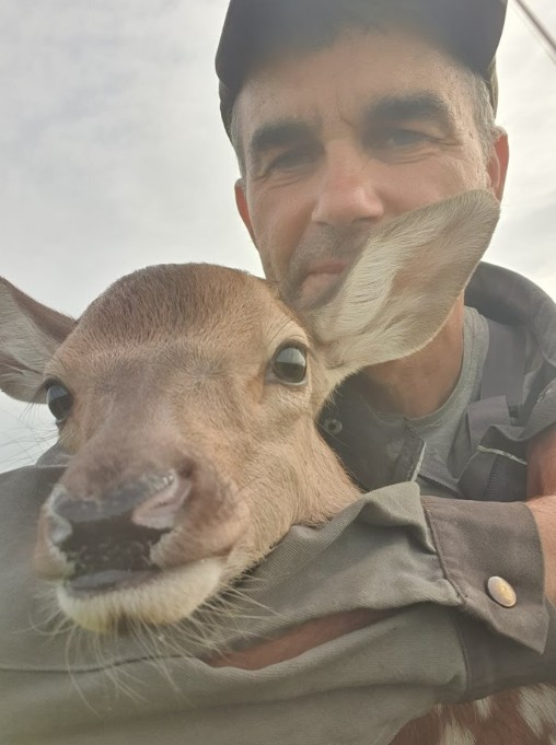 In the Lviv region the scientist is developing a deer farm. Photo by the Novyi Den newspaper